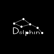 Dolphin Fútbol Chile